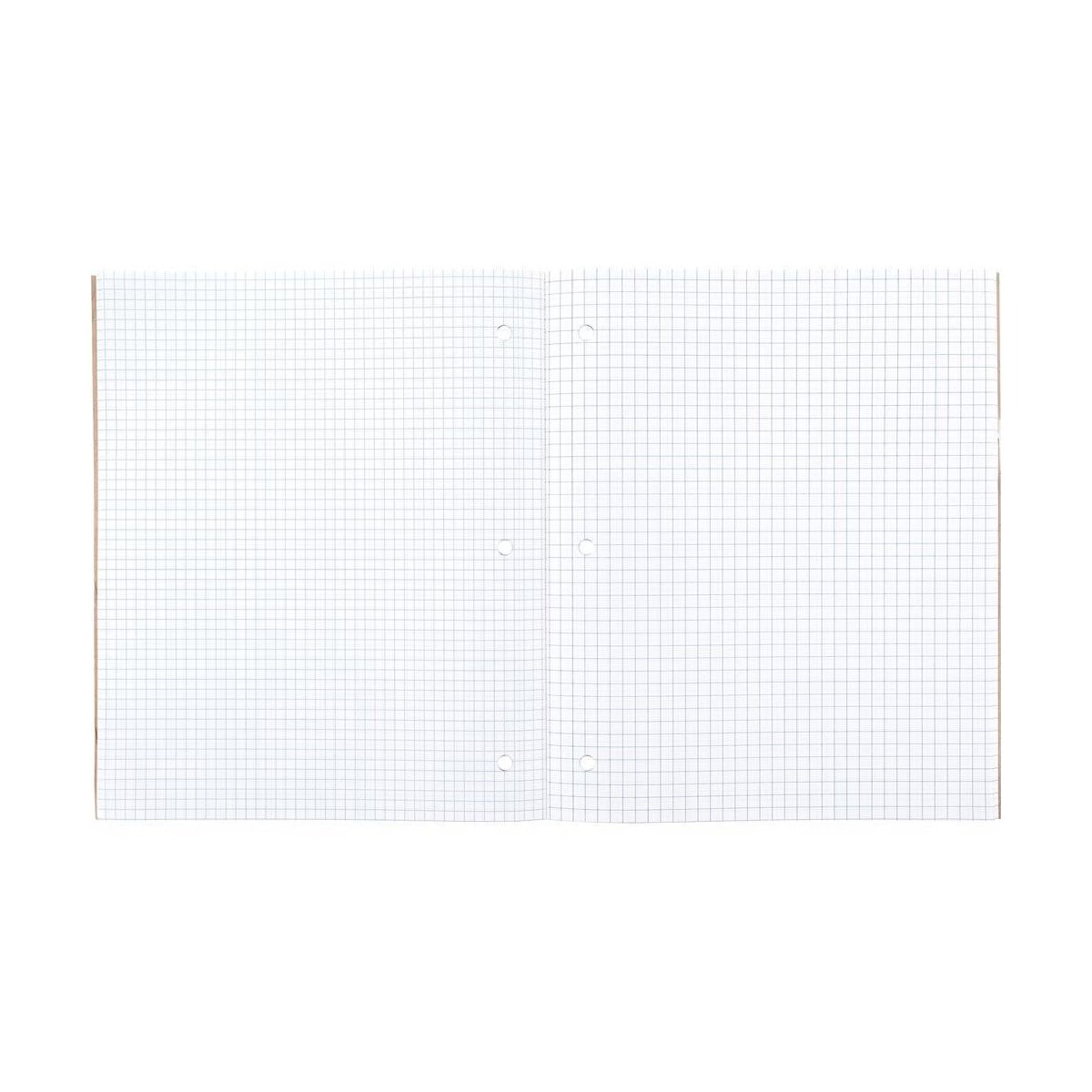 Perforated Graphing Grid Paper - đánh giá và giá Paper Punch 3 Hole